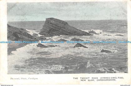 R388768 Desmond The Target Rock Carreg Gweltog New Quay Cardiganshire