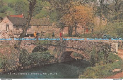 R511055 The Pack Horse Bridge Mill Dale Salmon