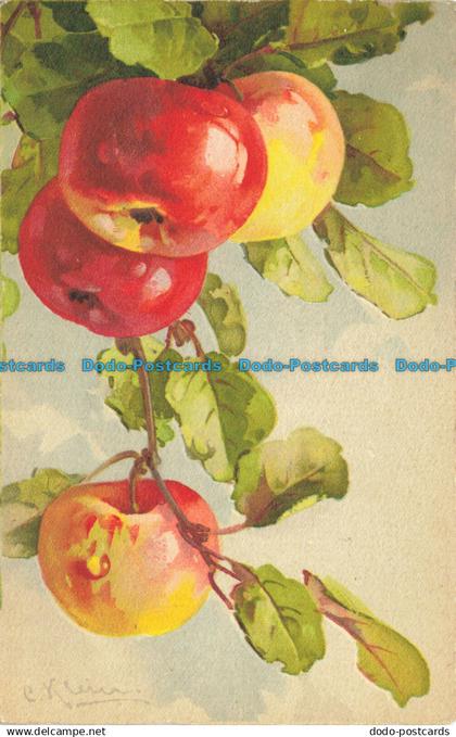 R646658 Branch with apples. 1930