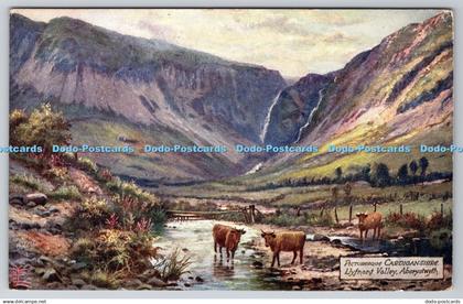 R749554 Aberystwyth Llyfnant Valley Picturesque Cardiganshire Raphael Tuck and S