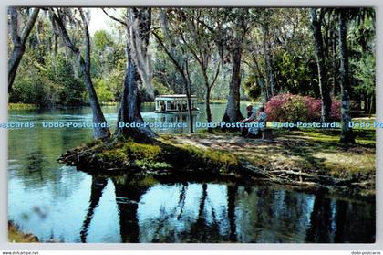 R821602 A Beautiful Florida Scene A Long Silver River in Famous Silver Springs F