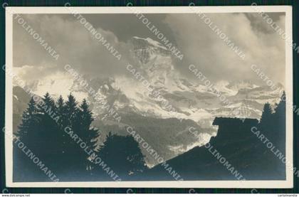 Svizzera Berna Monte Jungfrau Foto cartolina MX3268