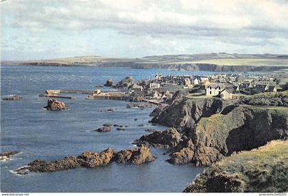 uk50468 st abbs Berwickshire scotland uk