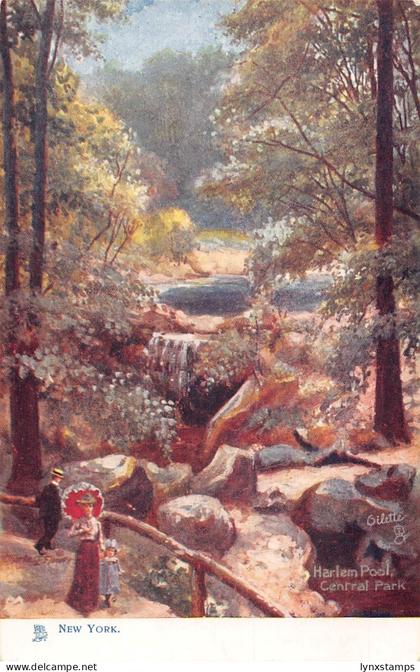 A972 US New York Harlem Pool Central Park vintage postcard