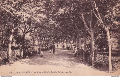 ALGERIA - Mostaganem - Un Allée du Jardin Public