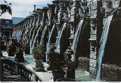 B32447 Clearwater Florida  usa