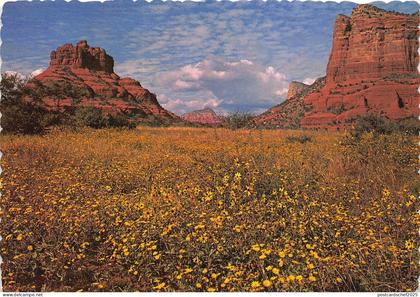 B53218 Sedona Arizona Bell and Cathedral Rocks  usa