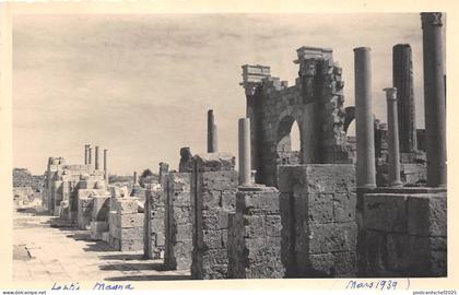 B84833 leptis magna    libia lybia