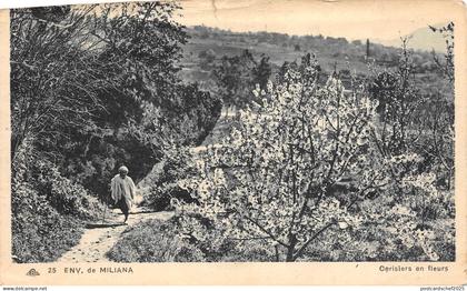 BR44414 Miliana cerisiers en fleurs algeria