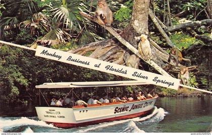 BR98660 monkey business at florida s silver springs ship usa