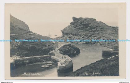 C005615 Boscastle. Thorn Photo