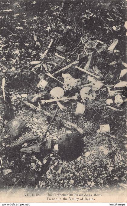 C062 France Verdun Trench in the Valley of Death vintage postcard