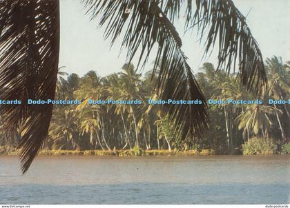 D009851 Jubba. Somalia. River. Sights. Man