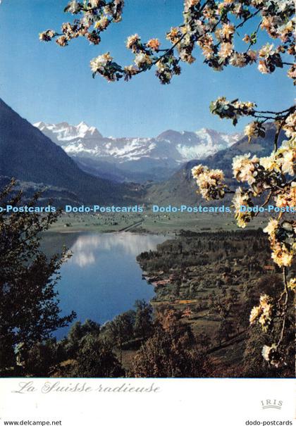 D031159 La Suisse radieuse. Iris. Le Lac de Sarnen et les Alpes Bernoises. Der S
