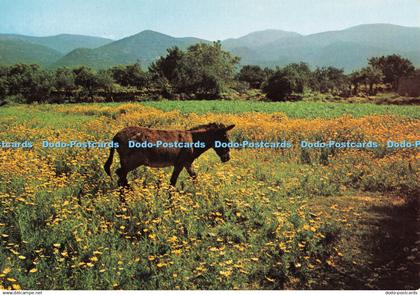 D068299 90. Greece. Week ends rest. Grece. Repos du Dimanche. Grecia. Riposo del
