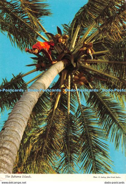 D085134 The Bahama Islands. John Hinde. Island Merchants. E. Ludwig. 1978