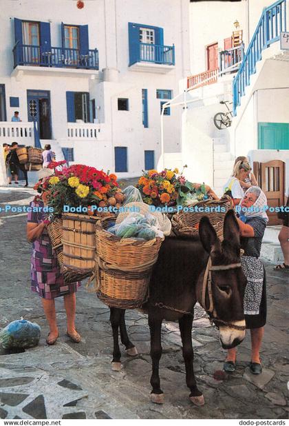 D085319 Cyprus. Zypern. M. Toumbis