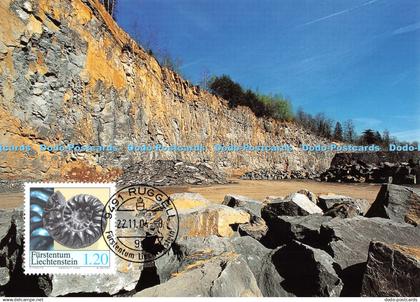 D109362 Ruggell. Furstentum Liechtenstein. Fossilien aus Liechtenstein. Ammonit.