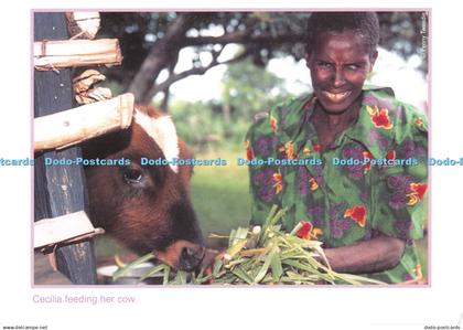 D136053 Cecilia Feeding Her Cow Send a Cow