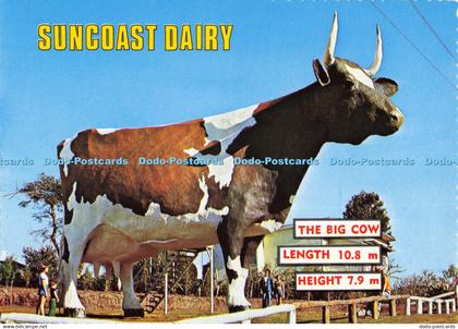 D137087 Suncoast Dairy Big Cow Nambour Queenslands Sunshine Coast Australian Mad