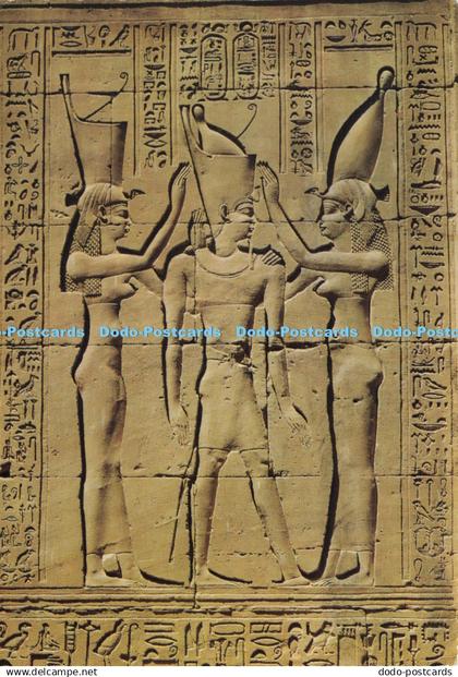 D193634 Edfu Horus Temple Pharaos Coronation Kruger Egyptian General Organizatio
