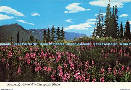 D195584 Fireweed Floral Emblem of the Yukon Studio North Dexter Color