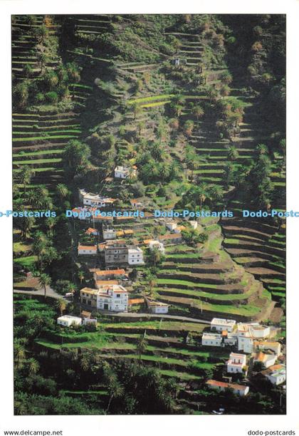 D214570 La Gomera La Vizcaina Valle Gran Rey Andy 2002