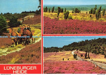 D217204 Luneburger Heide Multi View