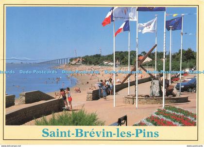 D219049 Saint Brevin les Pins Jack