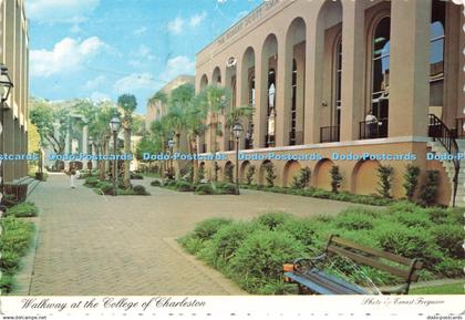 D225862 Walkway at the College of Charleston Charleston Post Card Co Ernest Ferg