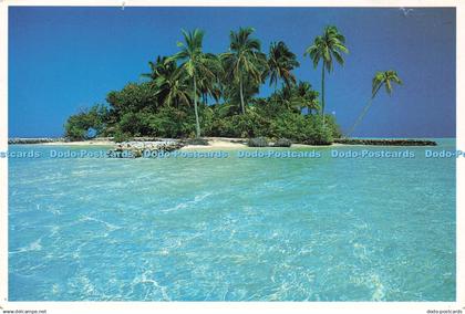 D227216 Maldives The Dream Islands Rihiveli Beach Resort Novelty Press Jean Pier