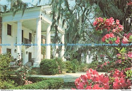 D252141 S C Near Charleston Boone Hall Plantation Charleston Post Card Ernest Fe