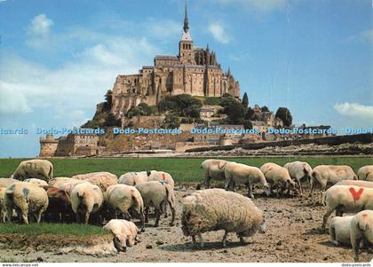 D260105 Le Mont Saint Michel Le Mont Saint Michel et les Moutons de Pres Sales A