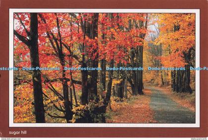 D279126 Sugar Hill Images of the White Mountains New Hampshire Chuck Theodore