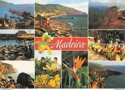 D281131 Madeira Some Views of Madeira Francisco Ribeiro Multi View