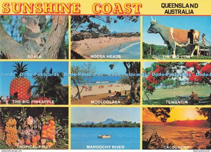 D291210 Queensland Australia. Sunshine Coast. Koala. Wren Souvenirs. Multi View