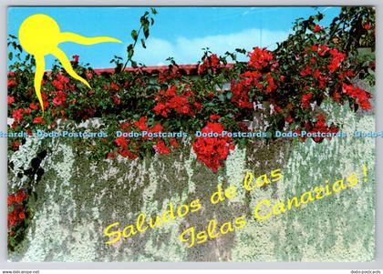 D302368 Salutos de la Islas Canarias RO FOTO