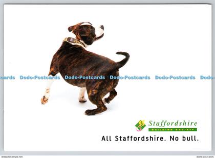 D326998 Dog. Staffordshire Building Society. All Staffordshire. No Bull. Wolverh