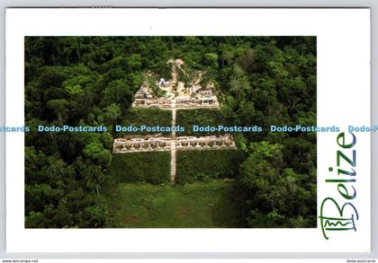 L347359 Belize Jungle Mystery Cubola Carol Farneti Foster