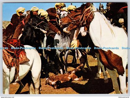 L355913 Afghanistan Buzkashi Afghan Tourist Organization Asefi