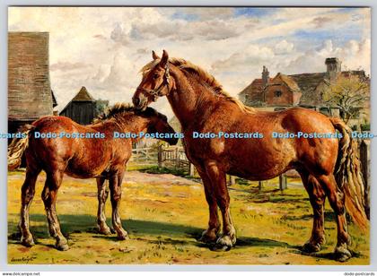 L355952 Suffolk Mare Parham Prunella with her Foal Suffolk Horse Museum