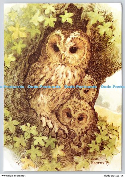 L361467 Tawny Owl and Young Ann Kearns Miss Katherine Gracey The Medici Society