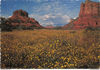 Lot 13 usa sedona arizona oak creek canyon bell and cathedral rock