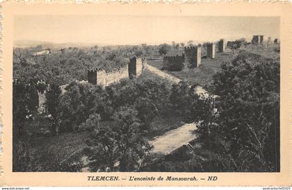 Lot 62 hotel transatlantique advertising tlemcen enciente de mansourah algeria