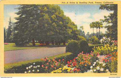 Lot112 usa california  a drive in roeding park fresno