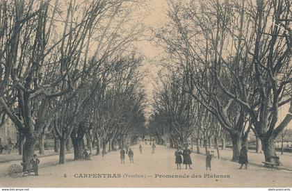 PC54563 Carpentras. Promenades des Platanes