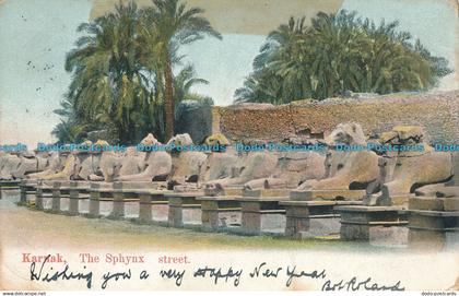 R009514 Karnak. The Sphynx Street