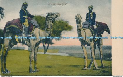 R023758 Camel Transport