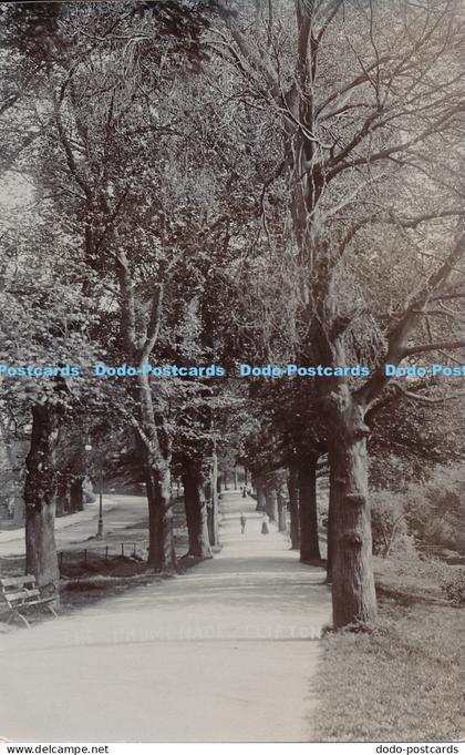 R025759 Promenade Clifton