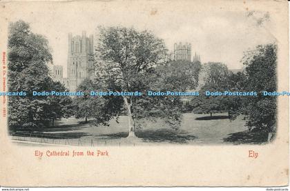 R041041 Ely Cathedral from the Park Ely Stengel and Co